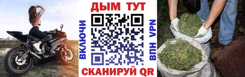 цена   Осташков  Канабис Amnesia 